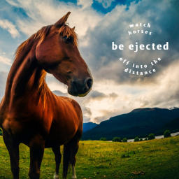 watch horses be ejected off into the distance