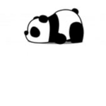~Pandy Squad~