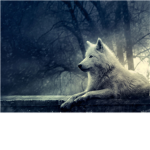 The Island of Mezaa Wolf RP