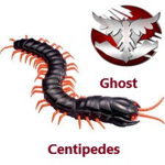 Ghost Centipede