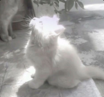 Epic sunlight