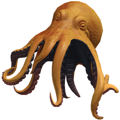 Octopus On Head
