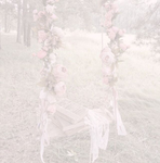 ୨୧Night Falls