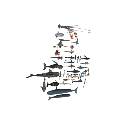 Fish Set