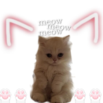 Pink tiny cats