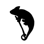 Chameleon's Clothing