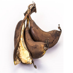 The Rotten Banana Munchers