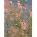 Garden Fairiez