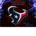 Houston Fan group