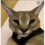 ďgdhhdigjsjhfj
