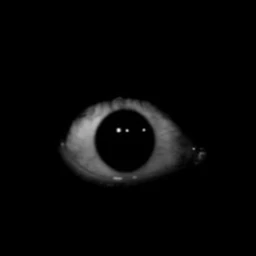 ZILIUSXXX666XXX666 icon