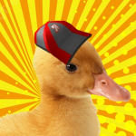 ducklins!
