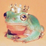 Fia’s Frogs