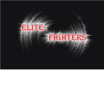 The Elite Roboxia Fighters: TERF