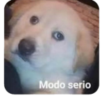 Robux nu manches