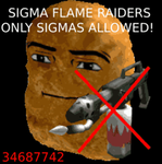 SIGMA FLAME RAIDERS