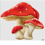 Mushroom.m.e.g.a.n
