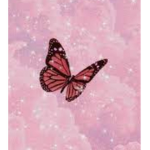 roseyfraekles group
