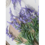 ∆~Lavender~∆