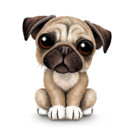 pugz fanz group city