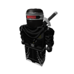 Bc Ninjas of Roblox