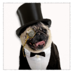 Fancy Dog Group