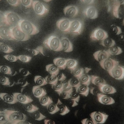 ♃