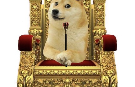 Doge Kingdom