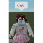 Robuxdono