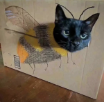 Boom bee