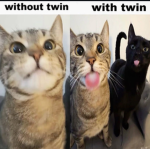 ๑ musical neko.. !