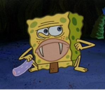 Sponge's ROCKS
