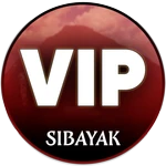 VIP PASS