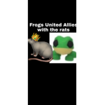 The official frogs United group