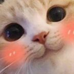2d sympz