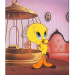 Birdy’s closet!