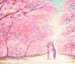 Sakura Forest