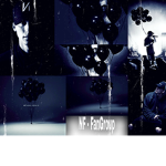 NF FanGroup