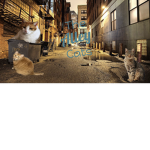 The Alley Cats of London