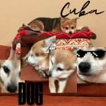 CUBA DOG