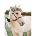 Arvella Pixieheart