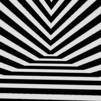 Zebra Room
