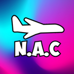 Northern Air Cargo