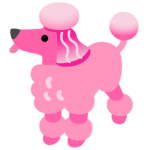 Labradoodles