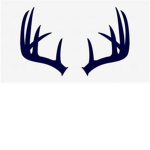 Purple antlers team