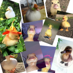 Animal loves and uvers