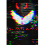 BXD AESTHETICS
