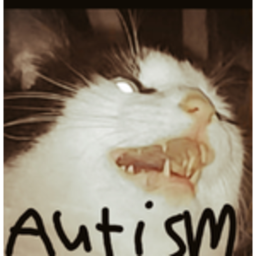 -Autism Hangout-