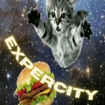 expercity