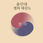 용인대 별하 태권도